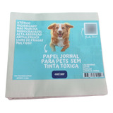 Pipi absorção